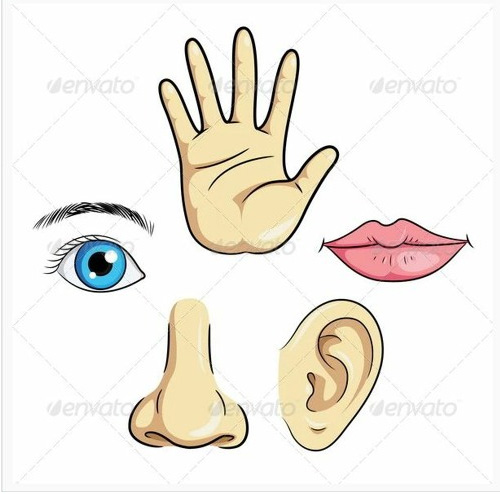 Wie Nie Werk Nie Moet Nie Eet Nie (10-10-2021)