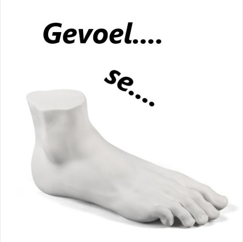 Gevoel se voet (19-01-2020)