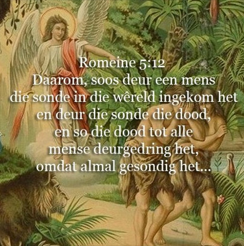 Hoekom, Waarvan en Hoe moet ek verlos word? (31-05-2015)