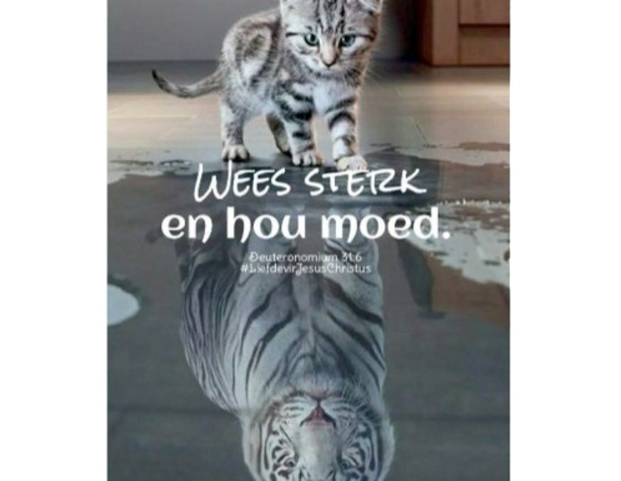 Hou goeie moed (22-01-2023)