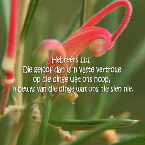 verander verander
