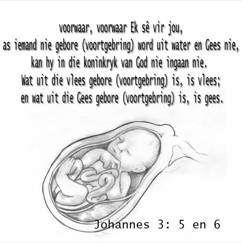 Jy Moet Weer Voortgebring Word (08-03-2015)