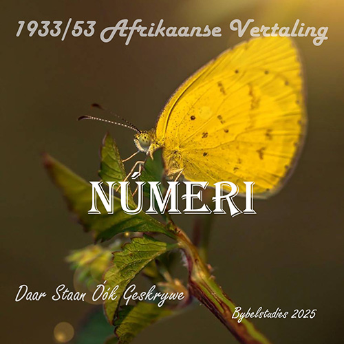 NÚMERI (2025)