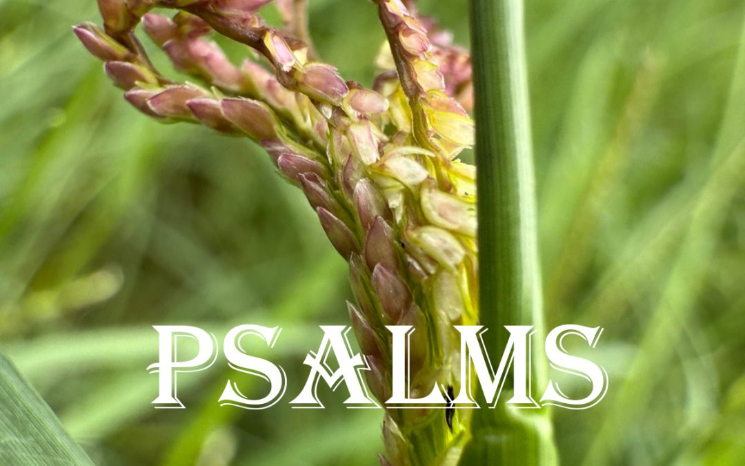 PSALMS (2026)